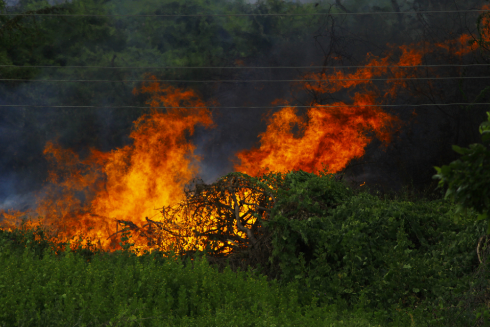 Imagem de um incêndio na floresta