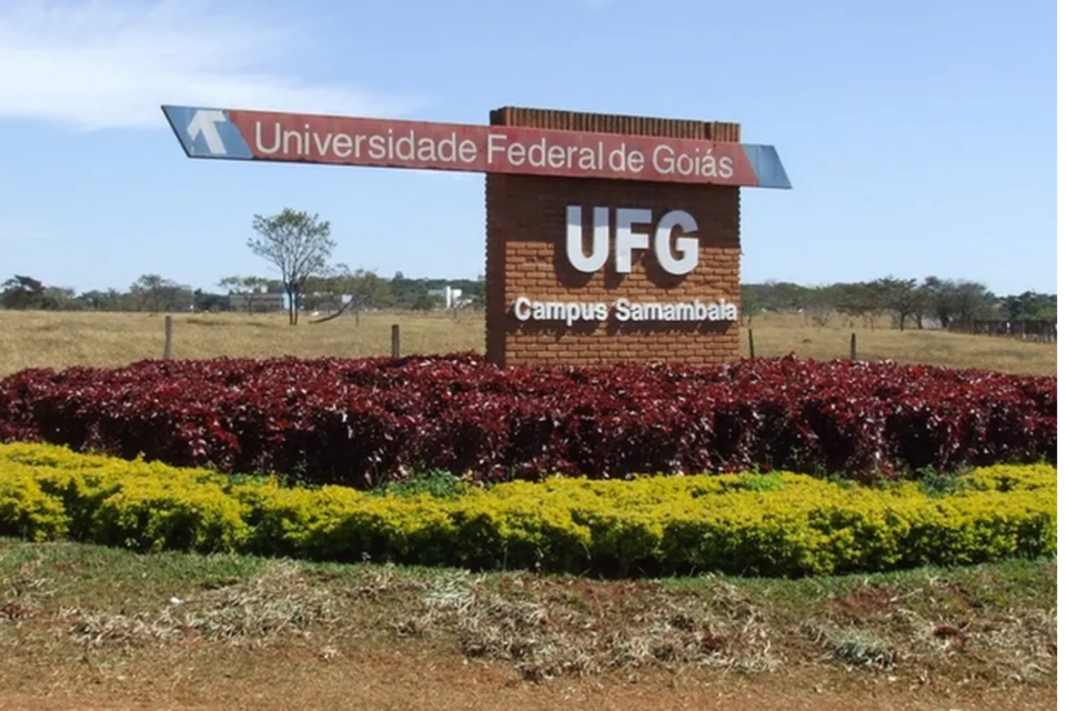 UFG caí 34 posições no ranking das melhores universidades do mundo