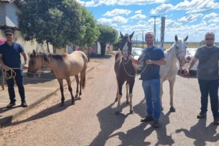 Adolescentes são apreendidos por furtar cavalos avaliados em R$ 40 mil em Porangatu