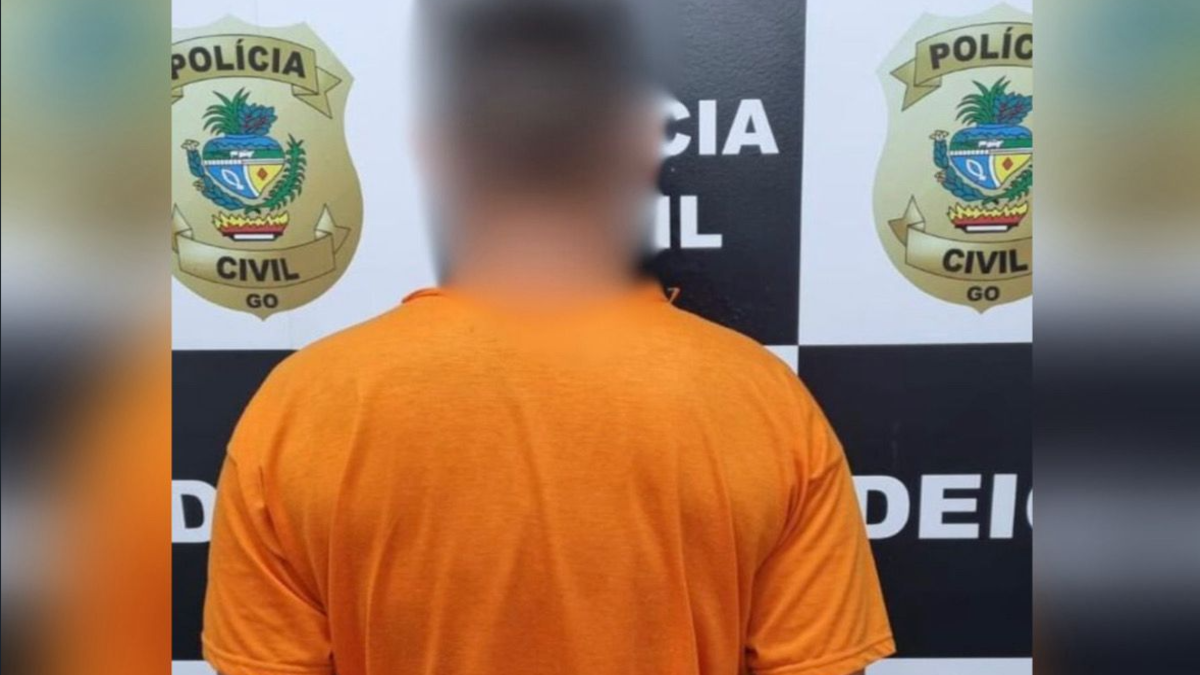 Homem preso por golpes (Foto: Reprodução)
