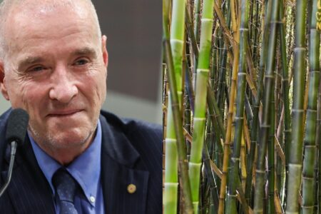 Eike Batista apresenta 'supercana' em evento agro, em Goiânia "Estamos prontos para trocar a cana plantada no Brasil", disse empresário