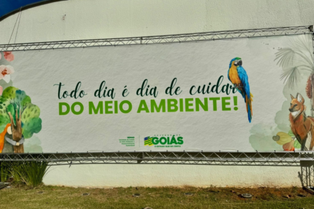 Painel da Semana do Meio Ambiente em Goiás (Foto: Divulgação)
