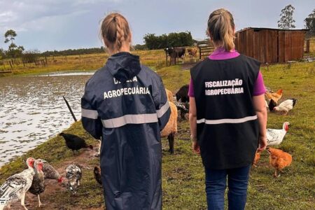 São Paulo registra primeiro caso de gripe aviária no ano