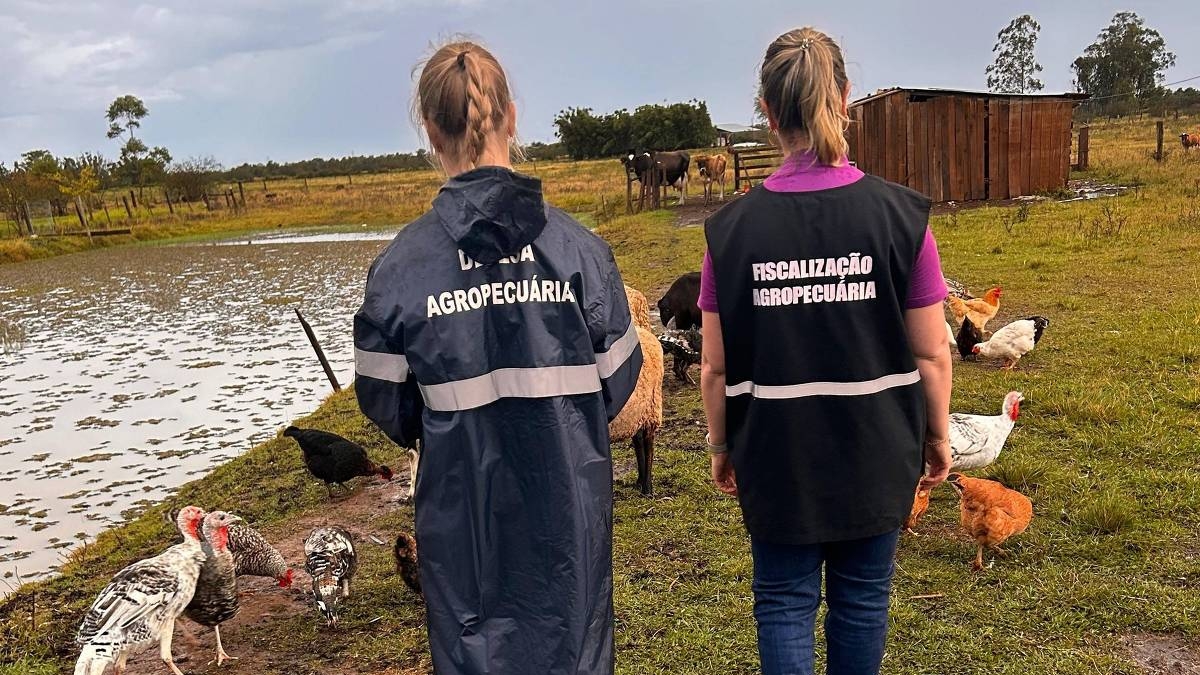 São Paulo registra primeiro caso de gripe aviária no ano