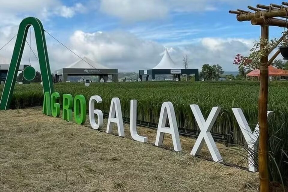 Juíza de Goiânia homologa recuperação judicial de conglomerado de insumos agrícolas
