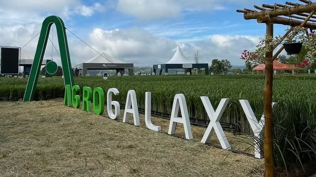 Juíza de Goiânia homologa recuperação judicial de conglomerado de insumos agrícolas