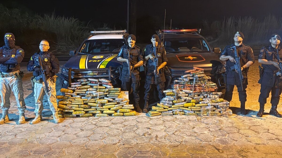 Operação apreende R$ 3 milhões em drogas escondidas dentro de pneus em Goiás skunk, pasta base, cloridato de cocaína e haxixe