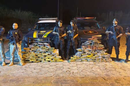Operação apreende R$ 3 milhões em drogas escondidas dentro de pneus em Goiás skunk, pasta base, cloridato de cocaína e haxixe