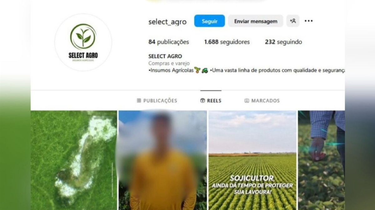 Perfil utilizado nas redes sociais (Foto: Divulgação PCGO)