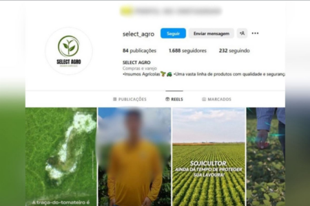 Perfil utilizado nas redes sociais (Foto: Divulgação PCGO)