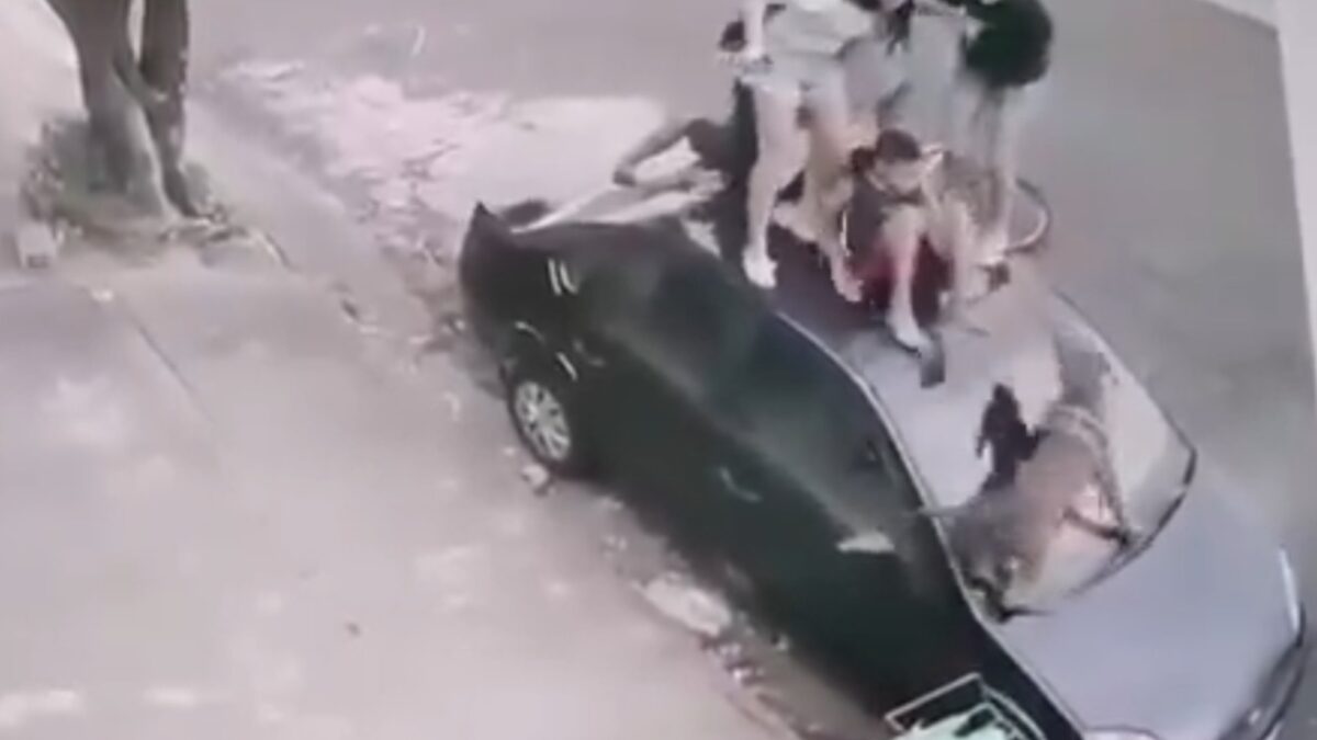 Crianças sobem em teto de carro para escaparem de ataque de pitbull vídeo Câmera de segurança registrou o momento; uma menina ficou ferida