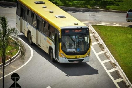 Ônibus do transporte coletivo (Foto: Jucimar de Sousa)