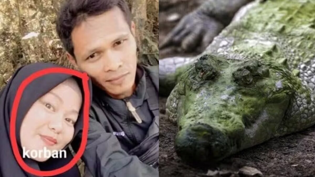 Grávida de 8 meses é arrastada da cozinha de casa e morta por crocodilo Casa da vítima havia sido inundada por causa de fortes chuvas