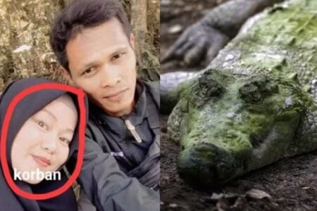 Grávida de 8 meses é arrastada da cozinha de casa e morta por crocodilo Casa da vítima havia sido inundada por causa de fortes chuvas