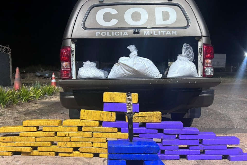 Dupla é presa transportando mais de 70 kg de drogas em mala encontrada em bagageiro de ônibus em Goiás
