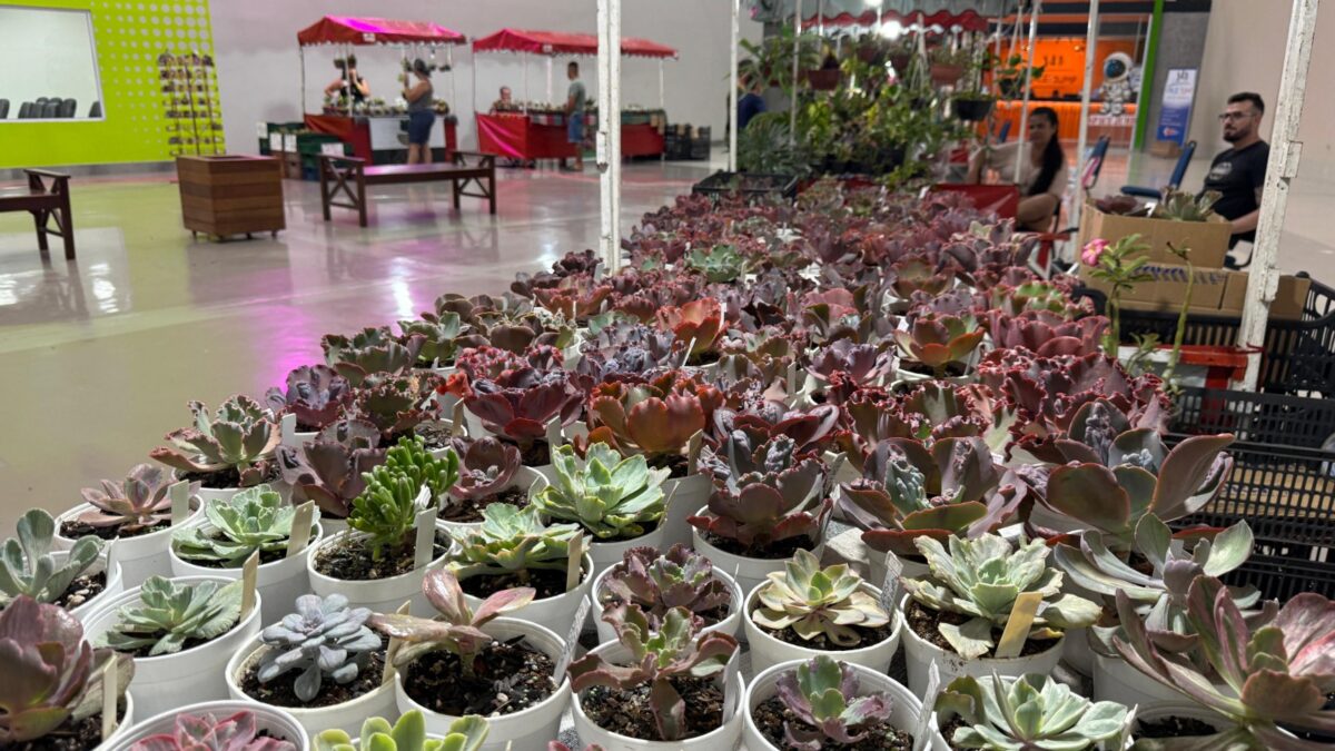 Bazar em Goiânia realiza edição especial para o Dia dos Namorados