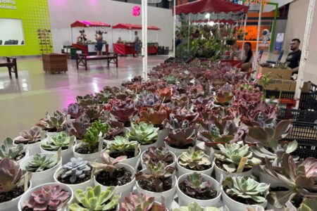 Bazar em Goiânia realiza edição especial para o Dia dos Namorados