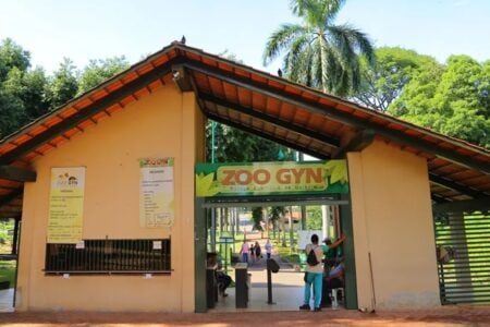 Zoológico de Goiânia fecha ao público por 10 dias para investigar morte de cisne negro