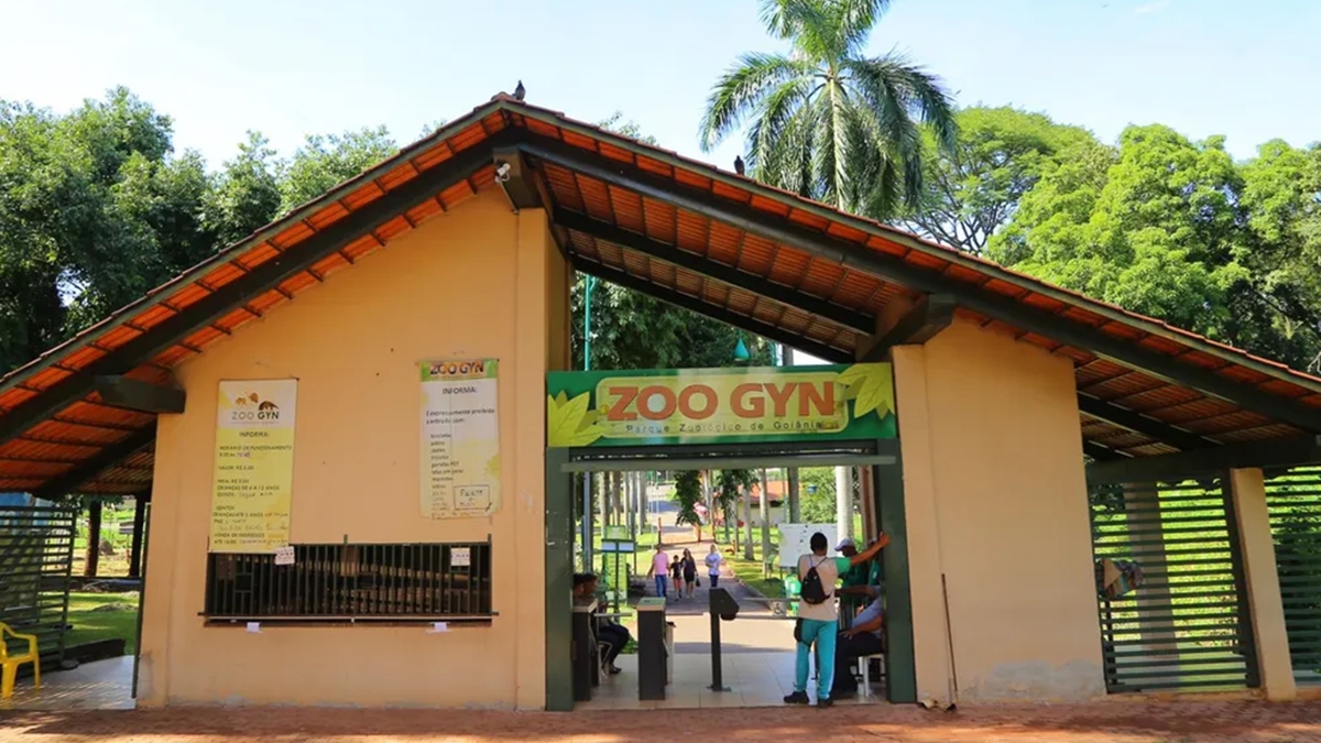 Zoológico de Goiânia fecha ao público por 10 dias para investigar morte de cisne negro