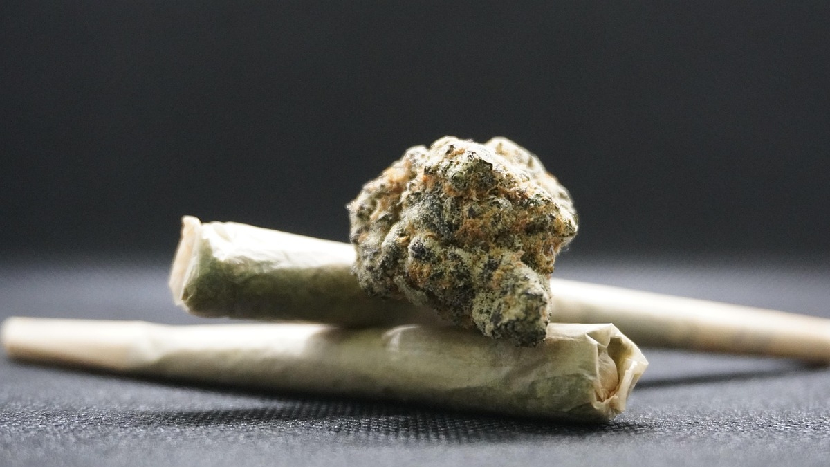 Mutirão para revisar prisões por uso pessoal de maconha começa nesta segunda-feira (30)