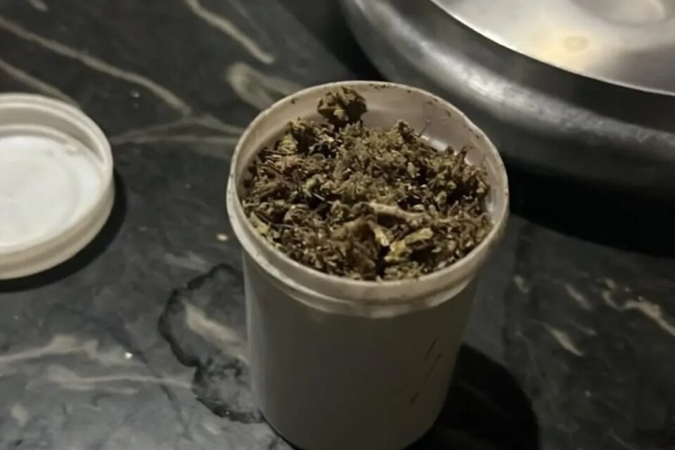 "Boca de fumo" em Caldas Novas usava câmeras para monitorar movimentos de forças policiais (Foto: PCGO)