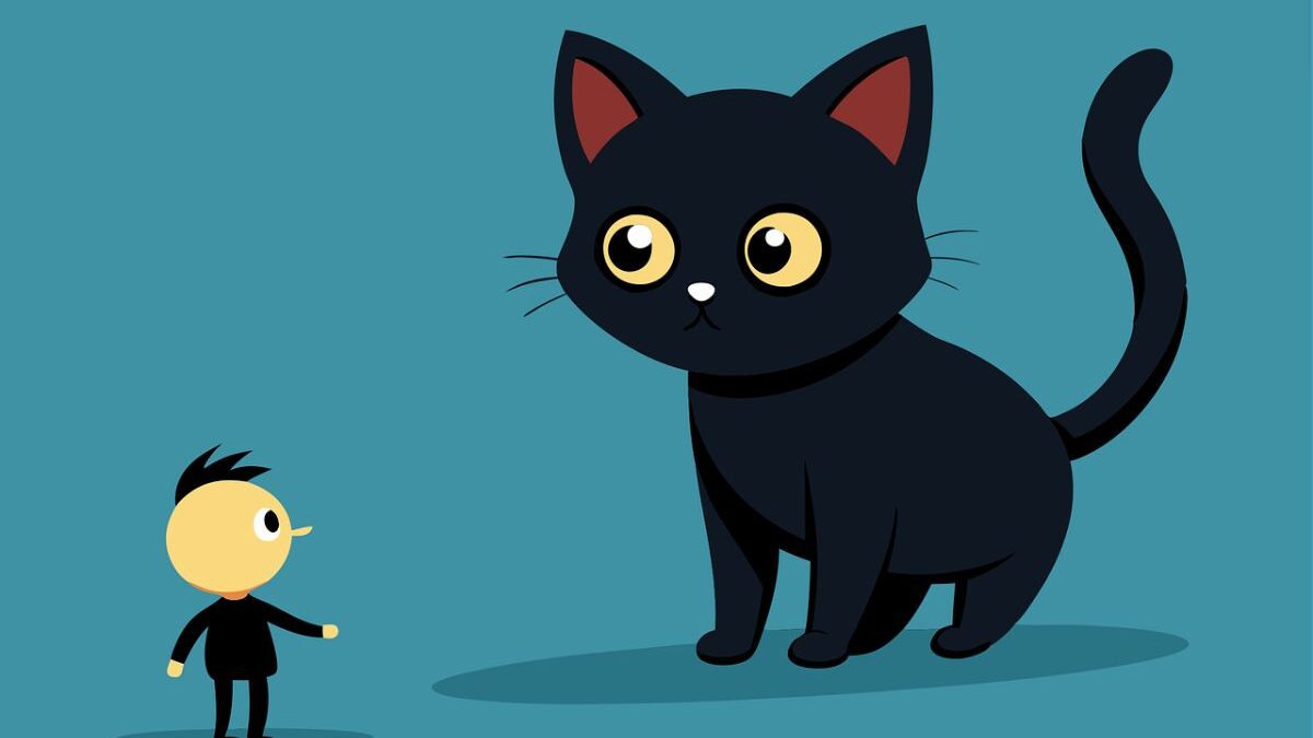 Gatos em sonhos: psicologia e psicanálise tentam explicar (Foto: Pixabay)