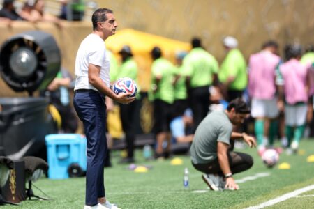 Renato Paiva durante a partida entre Palmeiras e Botafogo