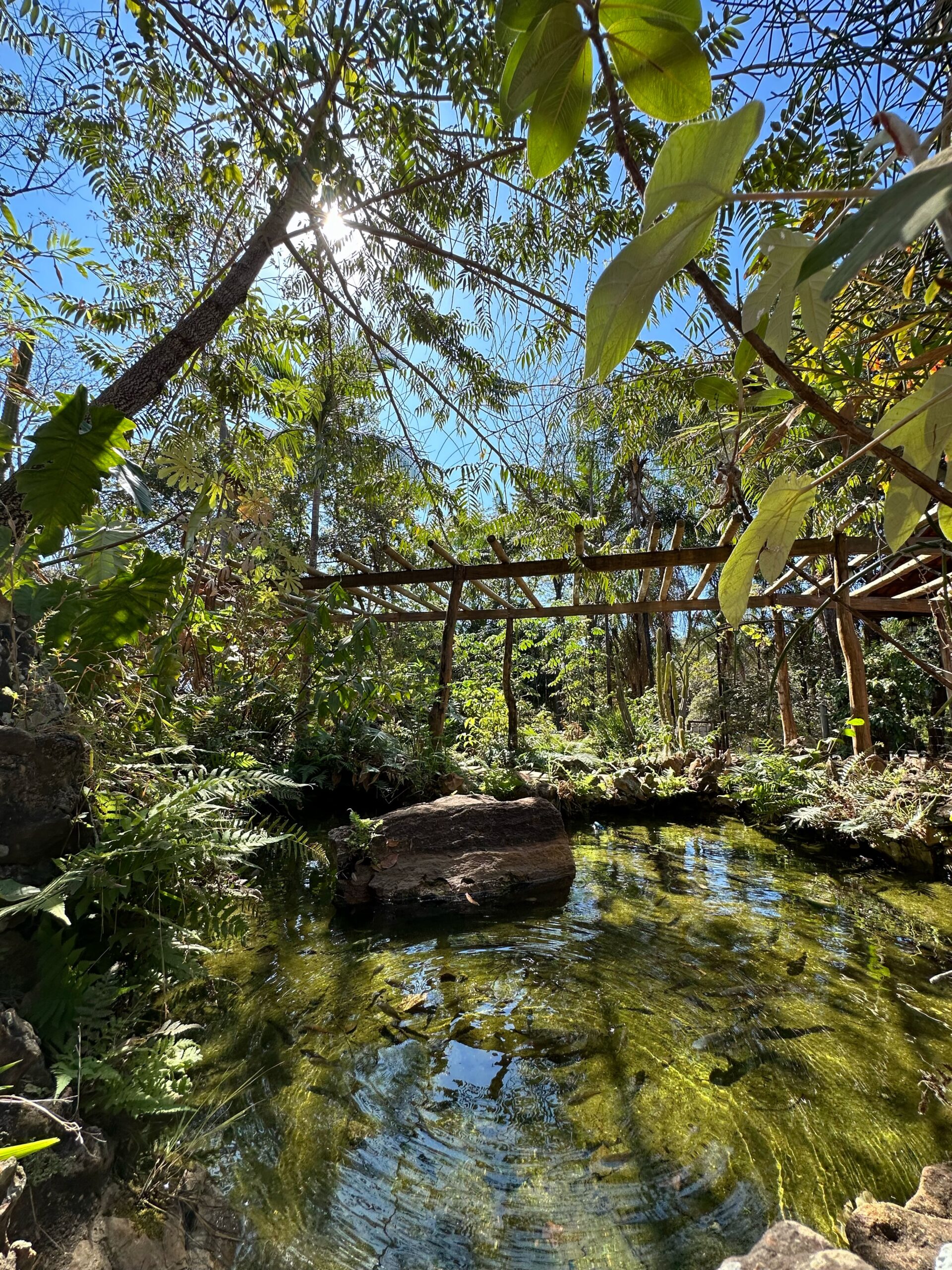 "O que é isso?" indagou Agência Espacial ao publicar imagem de satélite Serra de Caldas Novas: conheça o parque em Goiás notado pela Nasa