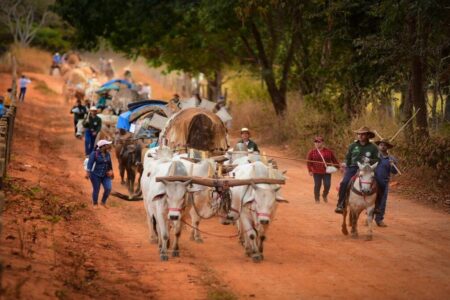 Peregrinação com carros de boi acontece desde o início da Romaria. (Foto: Jucimar de Sousa/Mais Goiás)
