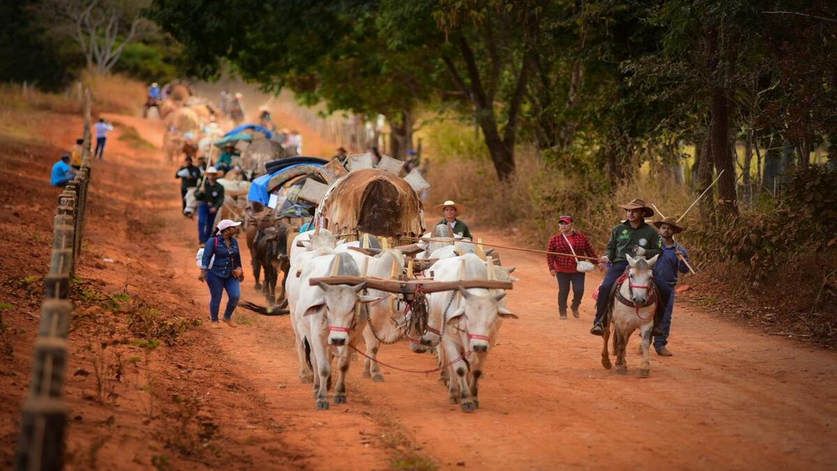 Peregrinação com carros de boi acontece desde o início da Romaria. (Foto: Jucimar de Sousa/Mais Goiás)