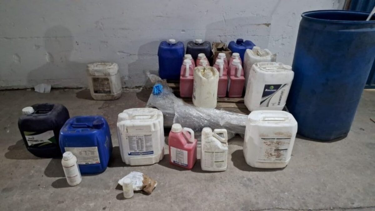 Imagem dos produtos apreendidos