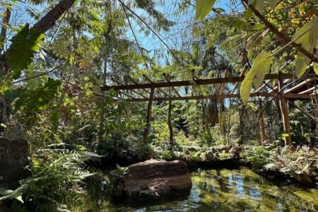 "O que é isso?" indagou Agência Espacial ao publicar imagem de satélite Serra de Caldas Novas: conheça o parque em Goiás notado pela Nasa