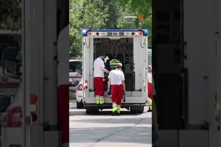 Ataque a tiros em escola na Áustria deixa pelo menos 10 mortos; vídeo Aluno atirou contra colegas e professores e se matou