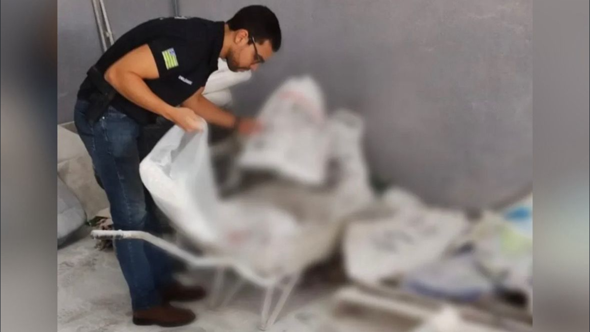 Fiscalização em fábrica de ração animal (Foto: Divulgação/PCGO)