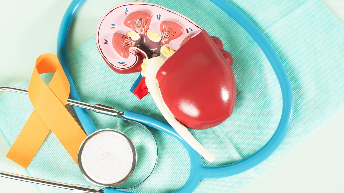 Dia do Câncer de Rim: cirurgia robótica consolida-se como aliada no tratamento