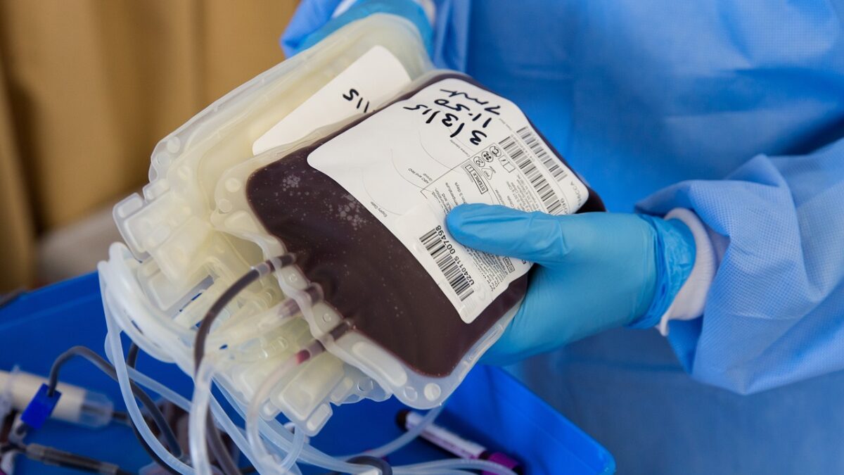 Doação de sangue é um ato que salva vidas (Foto: Pixabay)