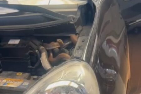Mecânico encontra cobra no motor de carro após cliente relatar problema para dar partida