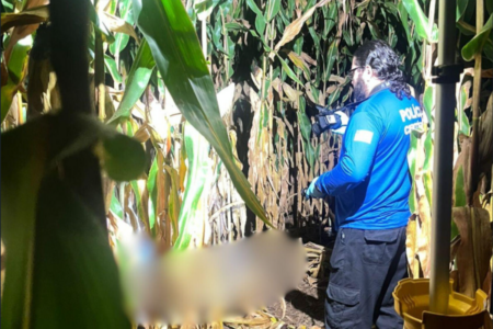 Homem mata colega durante caça (Foto: Divulgação)