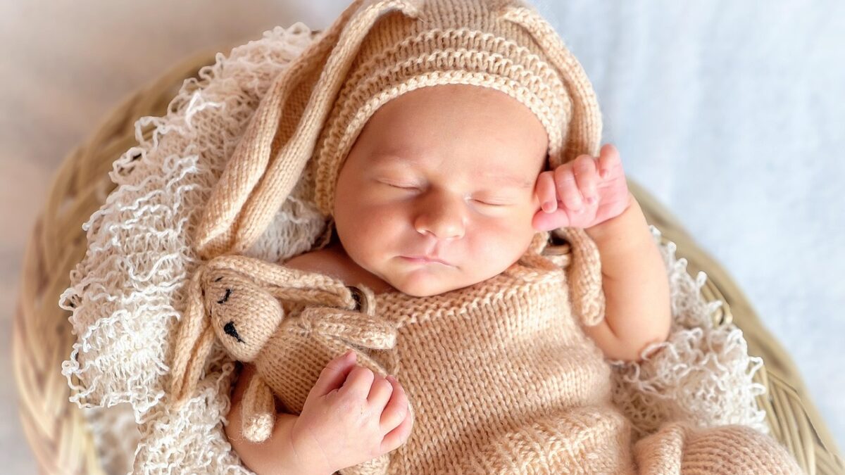 Mãe de bebê reborn desistiu do processo por causa da repercussão (Foto: Pixabay)
