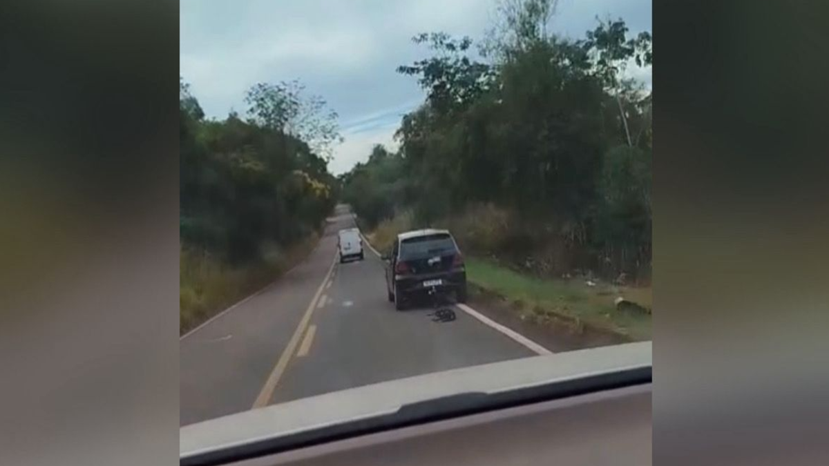 Cachorro é arrastado por carro (Foto: Reprodução)