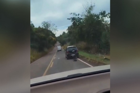 Cachorro é arrastado por carro (Foto: Reprodução)