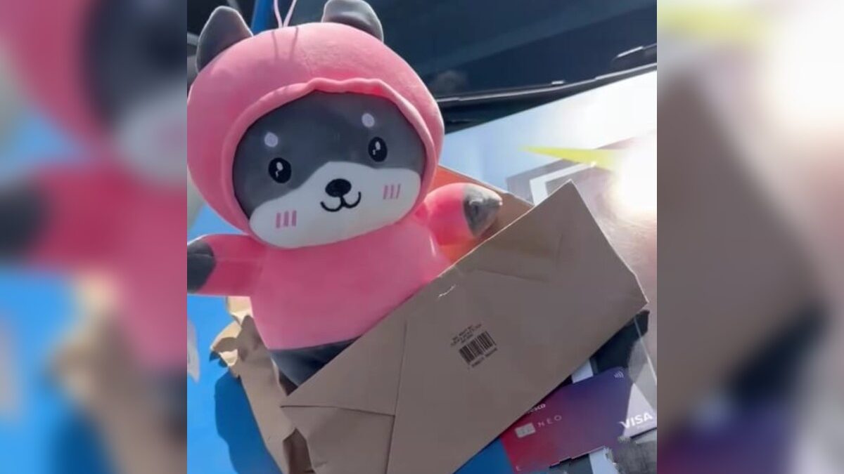 Mulher é presa por comprar chocolates e urso de pelúcia com cartão perdido, em Caldas Novas