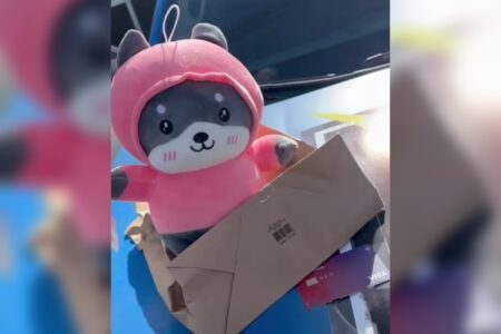 Mulher é presa por comprar chocolates e urso de pelúcia com cartão perdido, em Caldas Novas