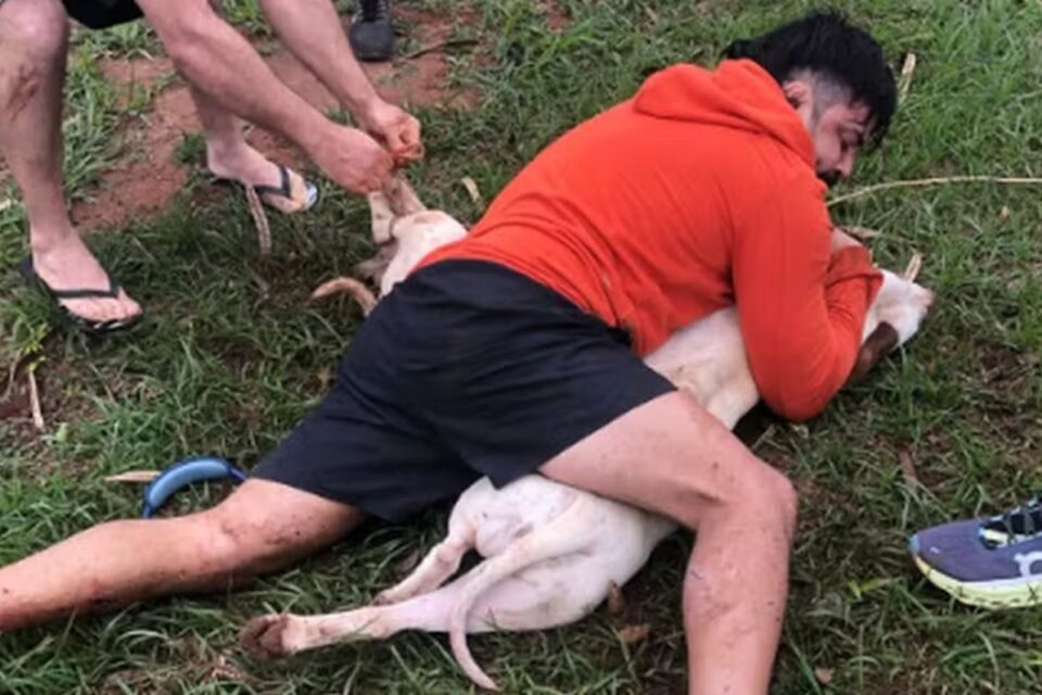 Lutador imobiliza dois pitbulls durante ataque no Mato Grosso do Sul; vídeo Um dos cães mordeu Thai Ernesto na perna
