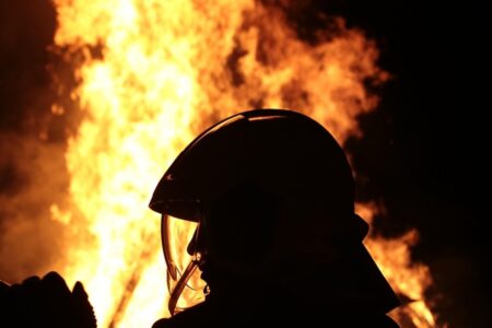 Cavalos ficam presos em lote baldio que pegou fogo, em Goiânia
