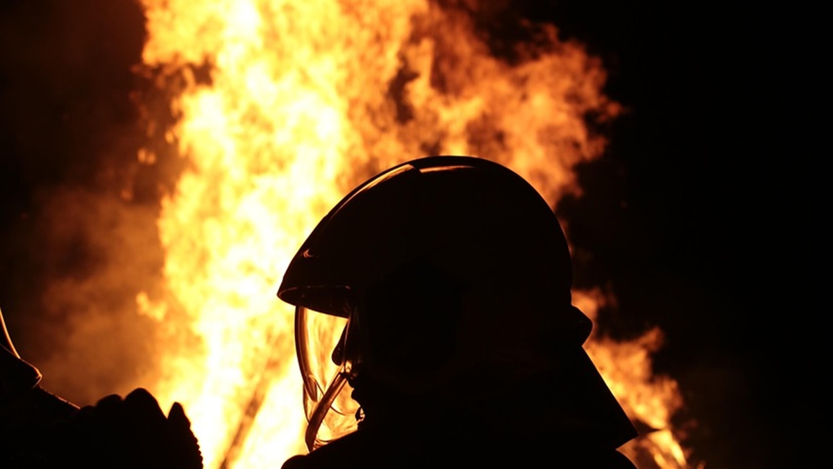 Cavalos ficam presos em lote baldio que pegou fogo, em Goiânia