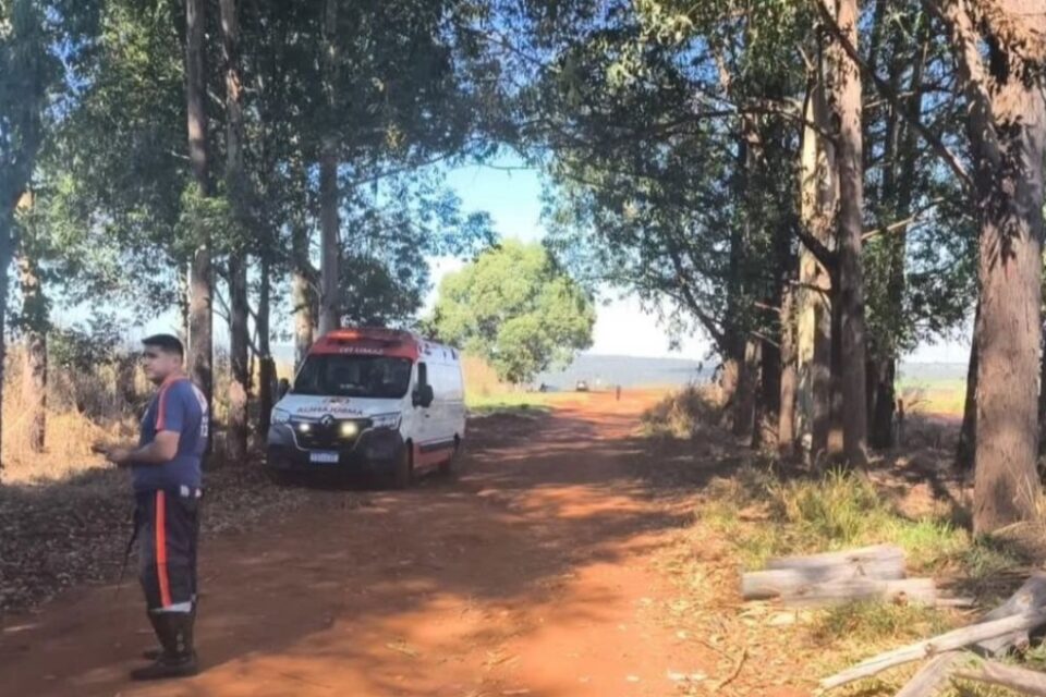 Homem morre após ser atingido por eucalipto durante realização de poda em Serranópolis