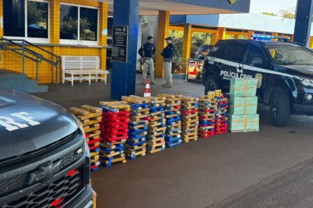 PRF e Polícia Civil do DF apreendem mais de 400 kg de maconha em Jataí