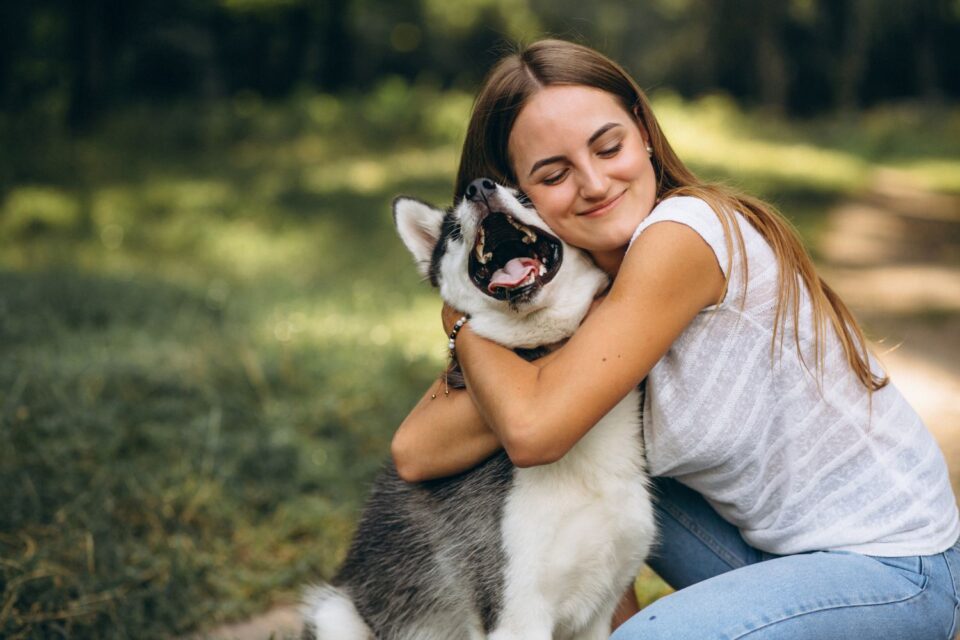 Evento gratuito reúne feira de adoção e bate-papo sobre saúde animal em Goiânia