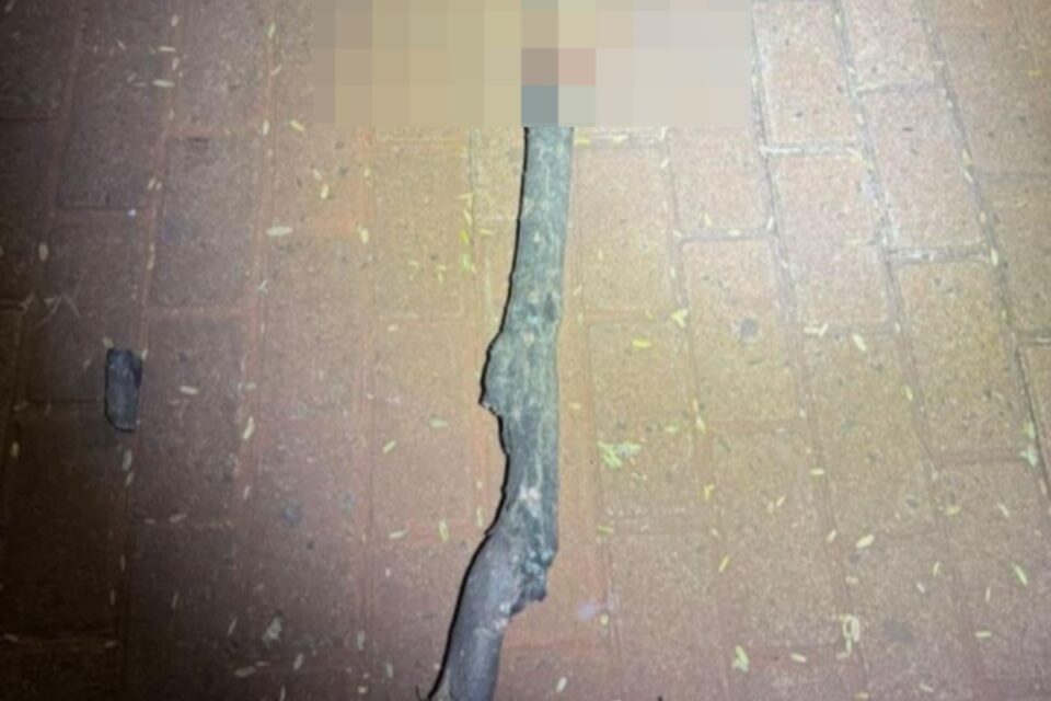 Homem é morto a golpes de faca e pauladas no Centro de Anápolis 4 Pedaço de madeira usado na morte da vítima